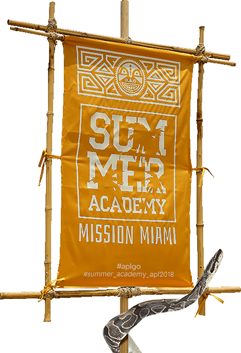 Summer academy Miami